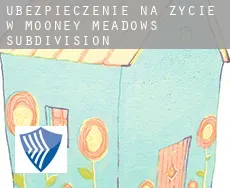 Ubezpieczenie na życie w  Mooney Meadows Subdivision