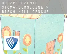 Ubezpieczenie stomatologiczne w  Birch Hill