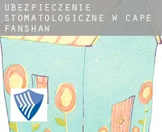 Ubezpieczenie stomatologiczne w  Cape Fanshaw