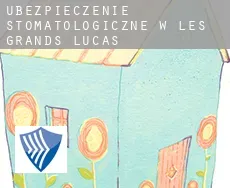 Ubezpieczenie stomatologiczne w  Les Grands Lucas