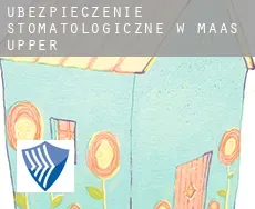 Ubezpieczenie stomatologiczne w Maas Upper