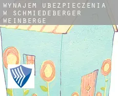 Wynajem ubezpieczenia w  Schmiedeberger Weinberge
