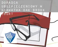 Doradca ubezpieczeniowy w  Hiawatha Oak Brook Court