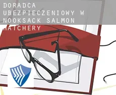 Doradca ubezpieczeniowy w  Nooksack Salmon Hatchery