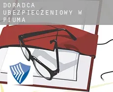 Doradca ubezpieczeniowy w  Piúma