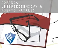 Doradca ubezpieczeniowy w  Puerto Natales