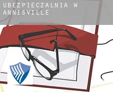 Ubezpieczalnia w  Annisville