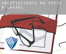 Ubezpieczenie na życie w  Larbre