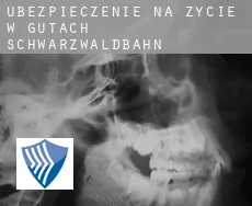 Ubezpieczenie na życie w  Gutach (Schwarzwaldbahn)