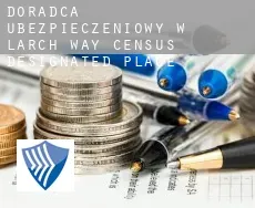 Doradca ubezpieczeniowy w  Larch Way