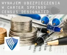 Wynajem ubezpieczenia w  Carter Springs