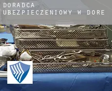 Doradca ubezpieczeniowy w  Dore