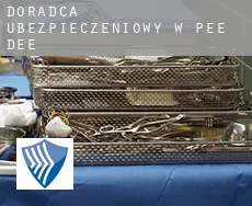 Doradca ubezpieczeniowy w  Pee Dee