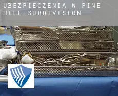 Ubezpieczenia w  Pine Hill Subdivision