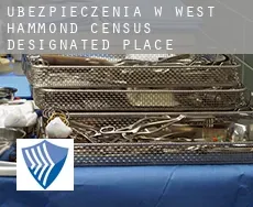 Ubezpieczenia w  West Hammond