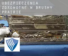 Ubezpieczenia zdrowotne w Brushy Prairie