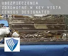 Ubezpieczenia zdrowotne w  Key Vista