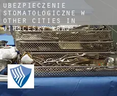 Ubezpieczenie stomatologiczne w  Other cities in Jihocesky kraj