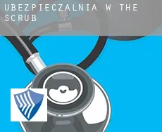 Ubezpieczalnia w  The Scrub